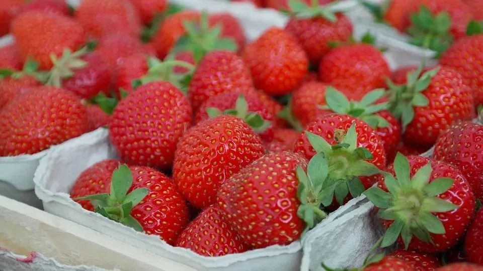 春节后水果市场“降温”，草莓价格大幅“跳水”