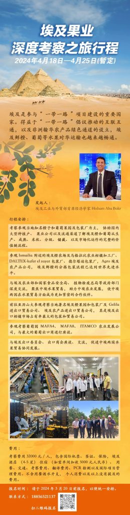 走吧！来场金字塔下的埃及果业深度考察之旅