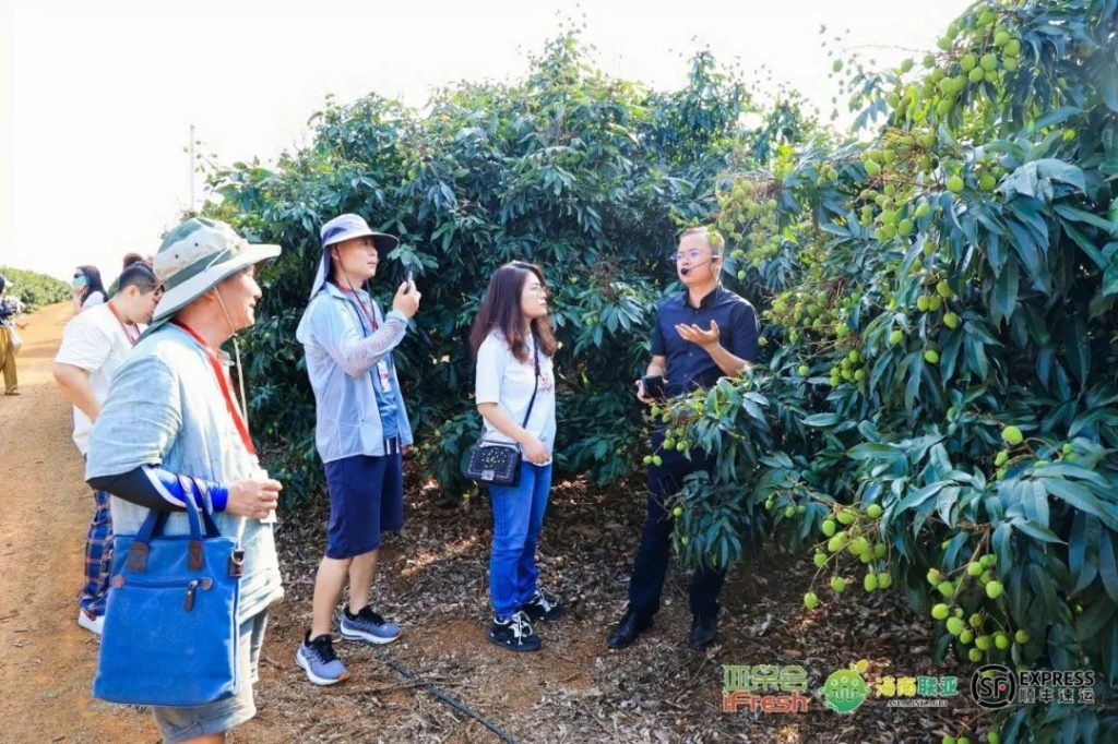 亚果会水果产销资源库会员考察行（海南站）成功举办