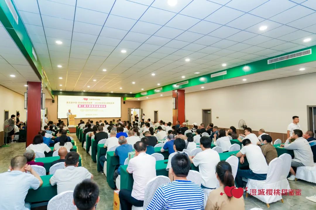 共话澄城樱桃产业高质量发展，第二届大樱桃供应链论坛成功举办