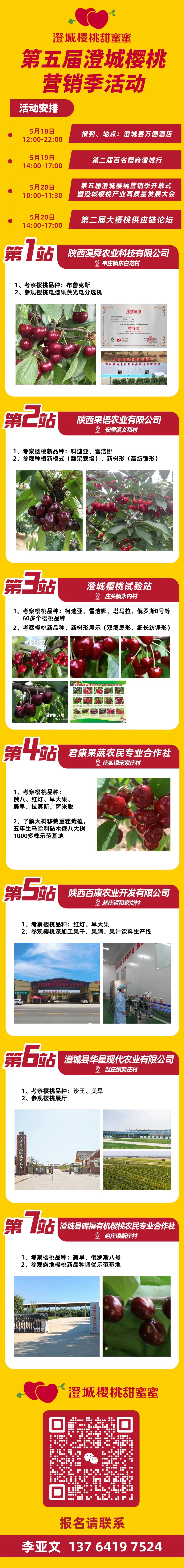 澄城樱桃之约，第五届澄城樱桃营销季活动火热进行中！