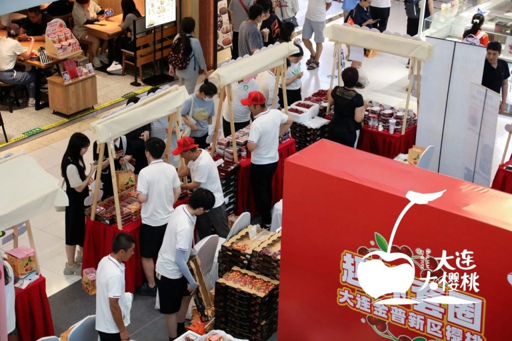 来自北纬39度的甜！2024大连金普新区大樱桃展销系列活动成都专场盛大启幕在即