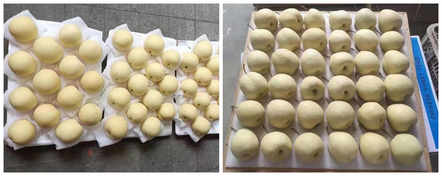 8月6日 全国梨子市场行情