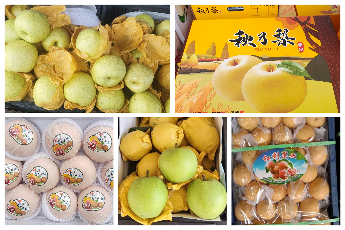 8月27日 全国梨子市场行情