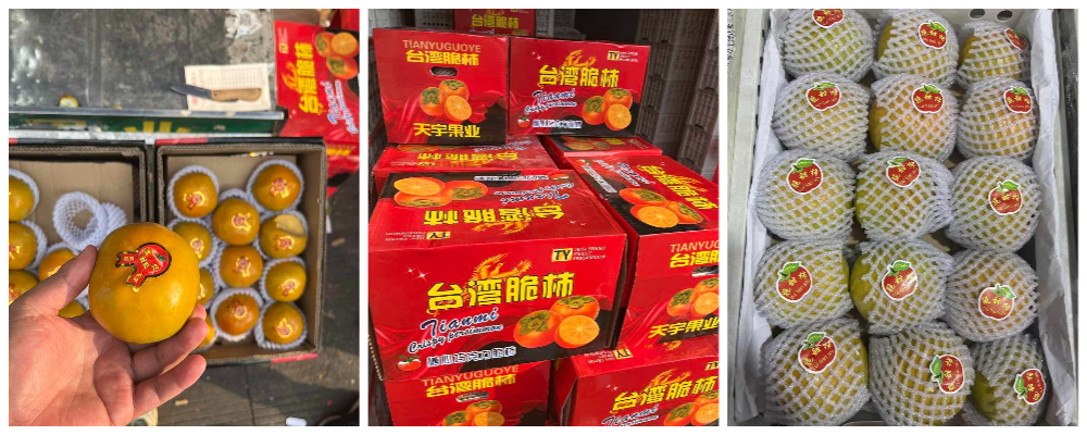 9月10日 全国柿子市场行情