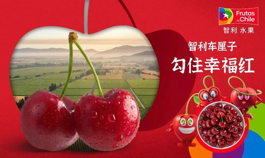 智利车厘子最新产季预测出炉，春节前到货稳定！