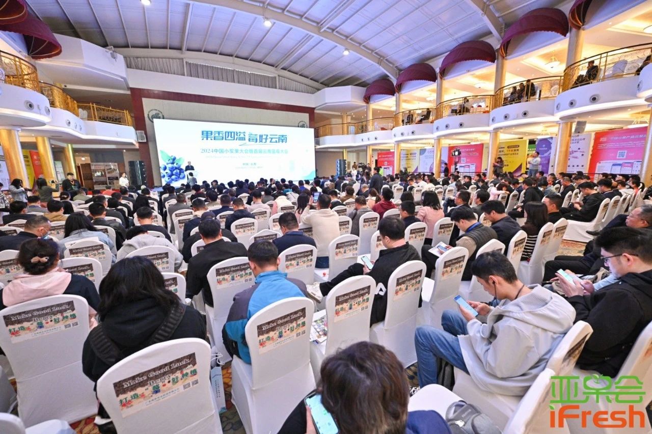 最后10席！错过再无！2025云南蓝莓大会展位抢订倒计时！
